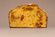 Carica l'immagine nel visualizzatore di Gallery, Panettone Albicocca