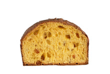 Load image into Gallery viewer, Apricot Panettone
